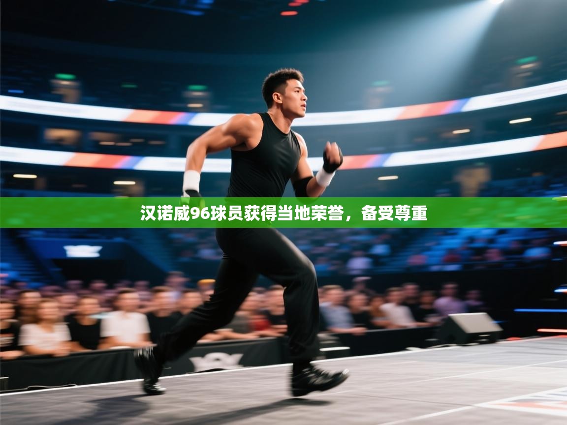 汉诺威96球员获得当地荣誉,备受尊重 第2张